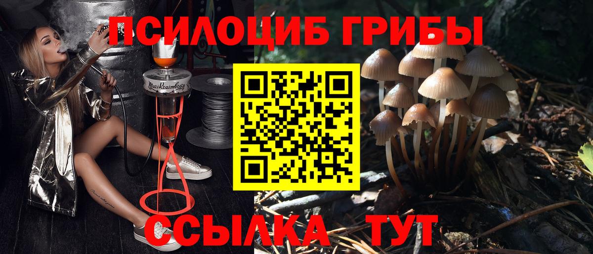 Бузулук  Псилоцибиновые грибы Magic Shrooms  Вход с VPN  Псилоцибиновые грибы Psilocybe 